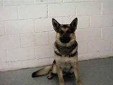 Ares