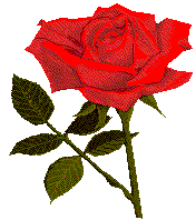 rose3lt.gif (6637 bytes)